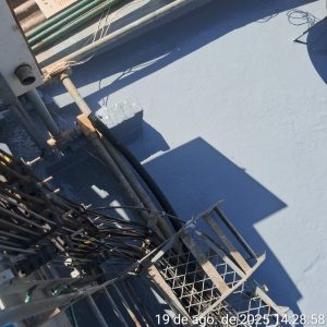 WhatsApp Image 2026-02-26 at 08.22.21