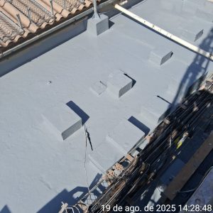 WhatsApp Image 2026-02-26 at 08.22.22 (1)