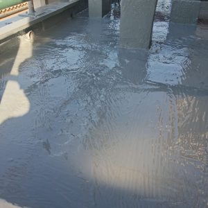 WhatsApp Image 2026-02-26 at 08.22.22 (4)