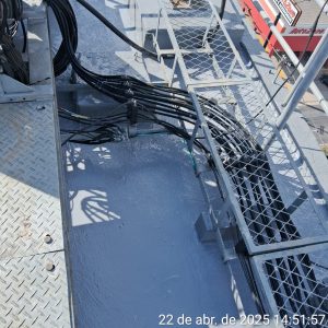 WhatsApp Image 2026-02-26 at 08.28.06