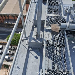 WhatsApp Image 2026-02-26 at 08.28.08 (2)