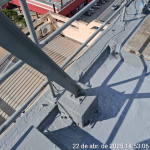 WhatsApp Image 2026-02-26 at 08.28.08 (3)