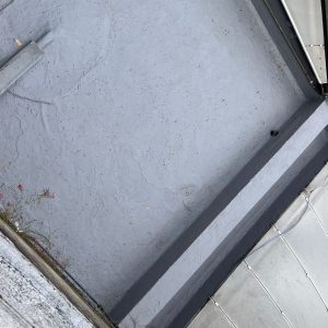 WhatsApp Image 2026-02-26 at 08.34.18 (1)